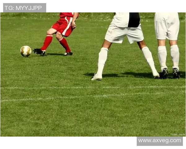 足球中仙的传奇之路与球场上的神奇瞬间解析