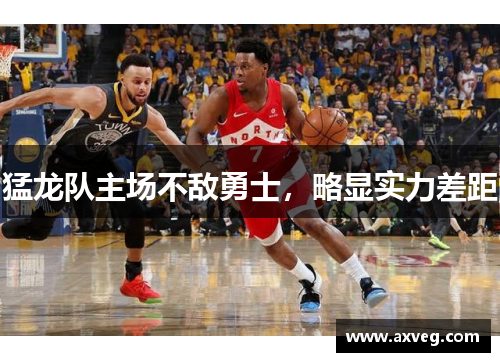 猛龙队主场不敌勇士，略显实力差距