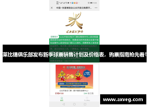 莱比锡俱乐部发布新季球票销售计划及价格表，购票指南抢先看！