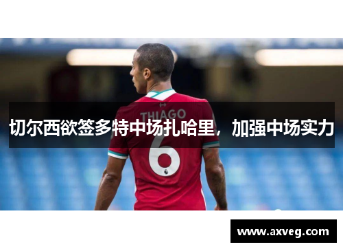 切尔西欲签多特中场扎哈里，加强中场实力